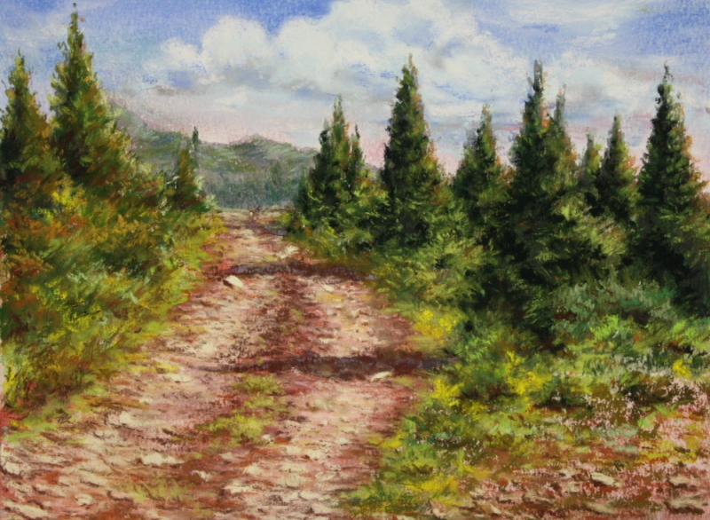 Pine Hill Path by artist Richard Banh